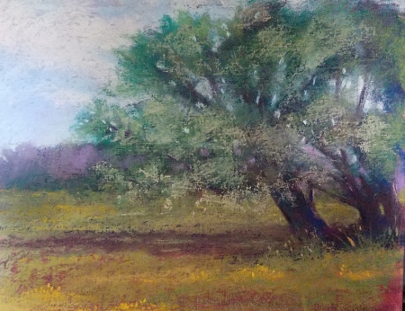 Oak in Bloom by artist julia fletcher